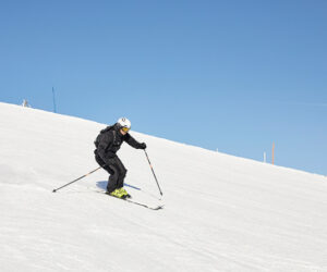 Ski Alpin über Renn- und Techniktraining